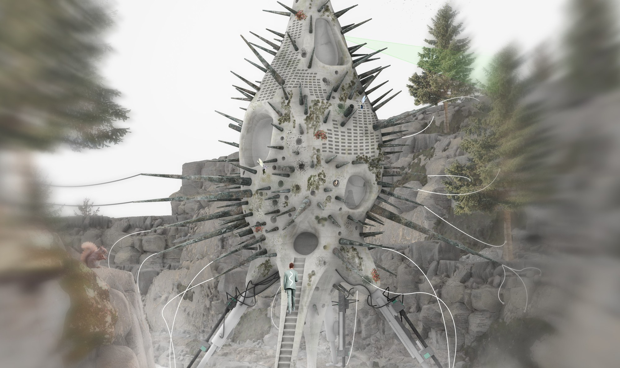 Figure 20. Symbiosis between the project and the Critical Zone