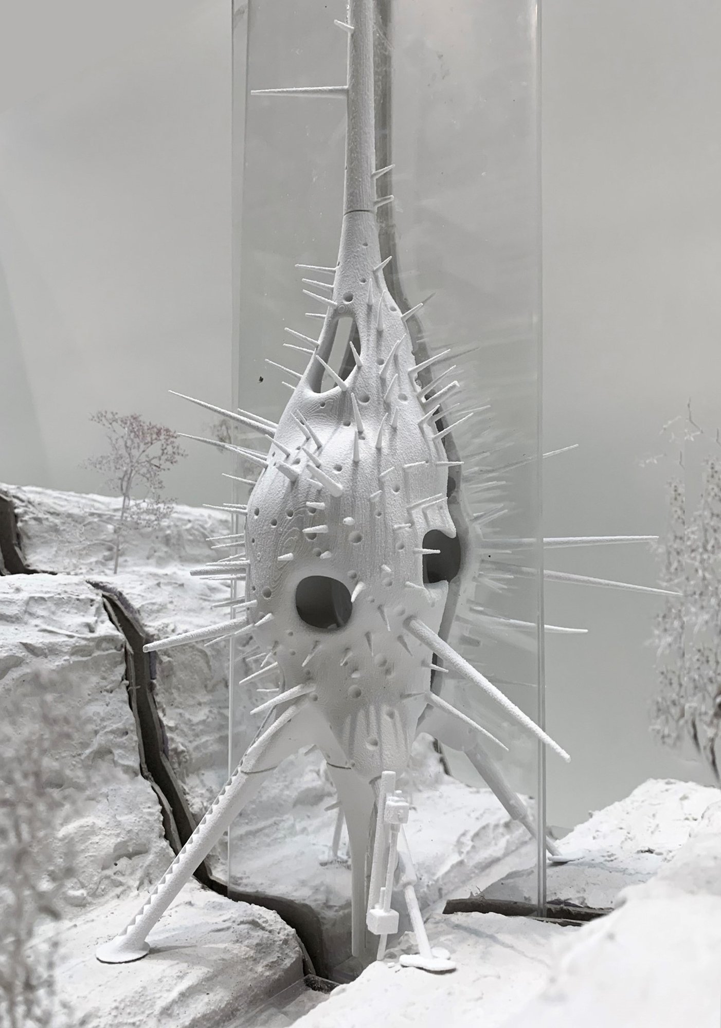 Figure 22. Physical Model