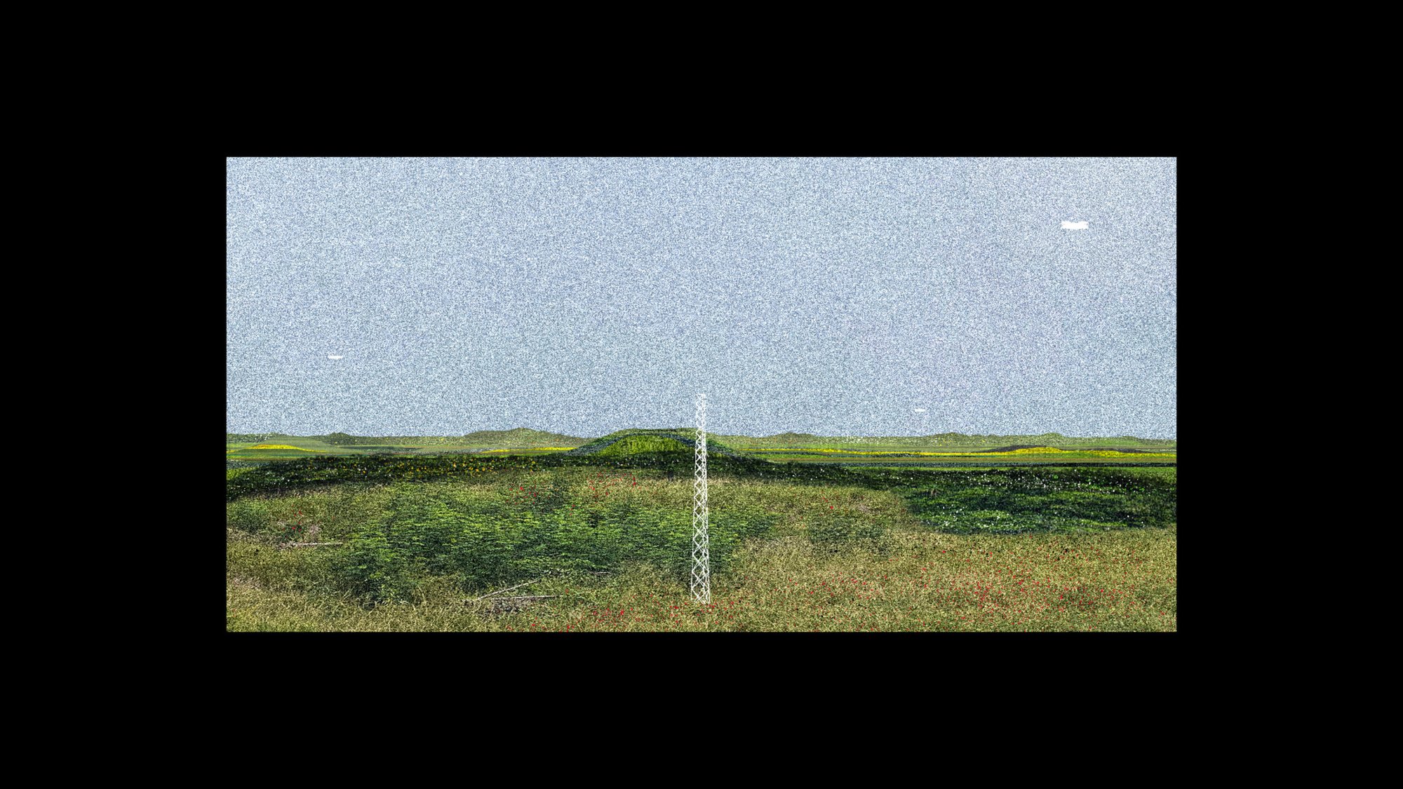 Figure 50. Binary Gardens.