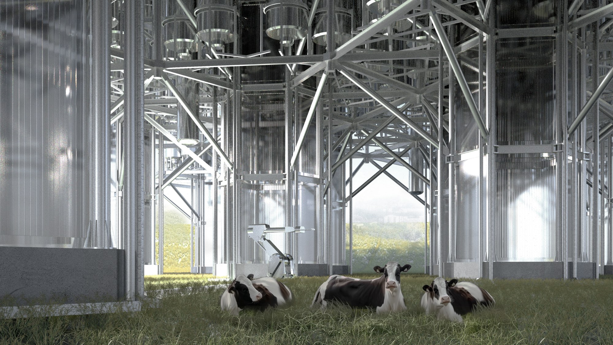 Figure 42. Cows at the base of the Units