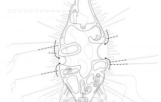 MODUS OPERANDI 5 by asfic pj - Issuu