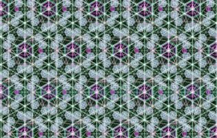 mo12_design_Figure 31_reduced